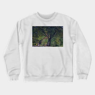 Relections at Alfred Nicholas Memorial Gardens Crewneck Sweatshirt